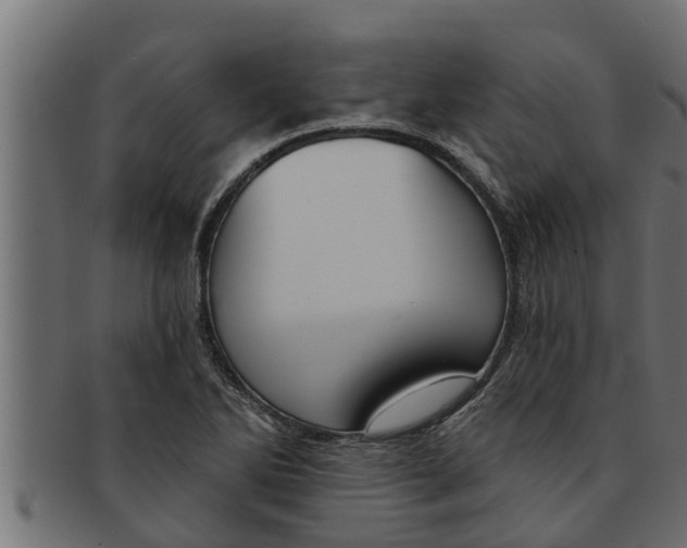 X0000091691270200709201251