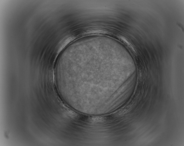 X0000091691274200709201251