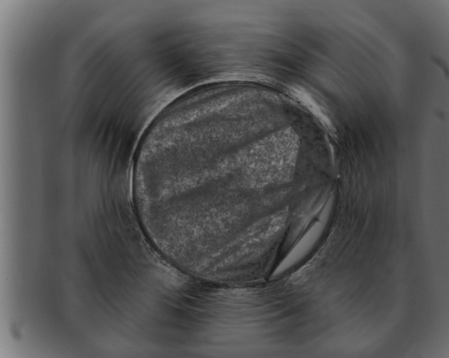 X0000091691276200709201251