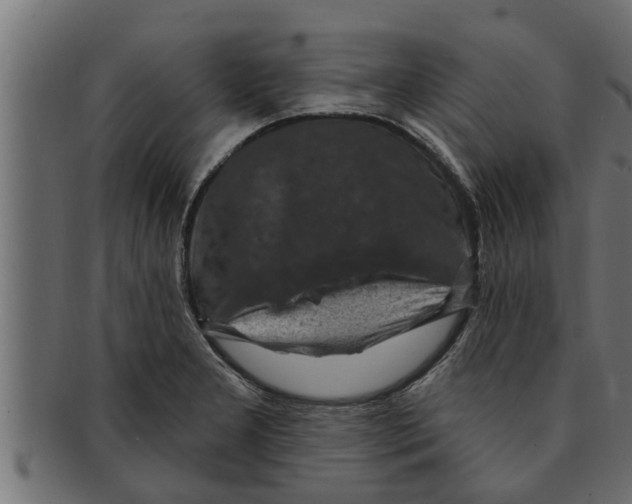 X0000091691277200709201251