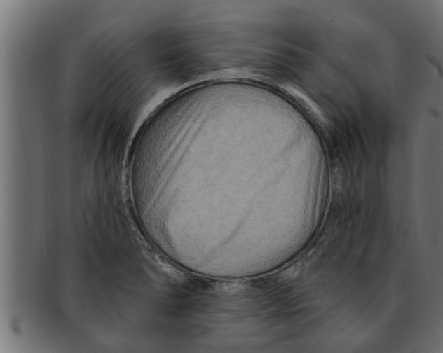 X0000091691278200709201251