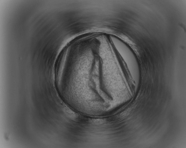 X0000091691280200709201251