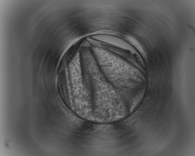 X0000091691284200709201251