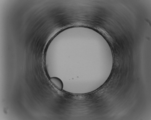 X0000091691286200709201251