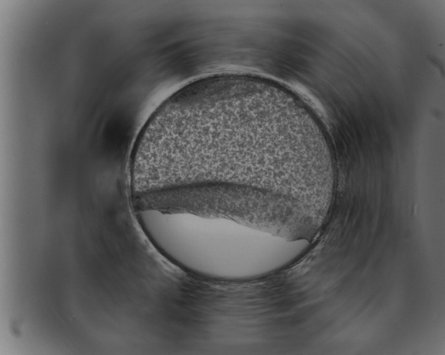 X0000091691287200709201251