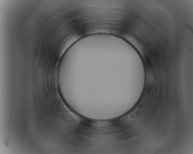 X0000091691290200709201251