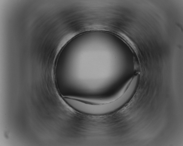 X0000091691293200709201251