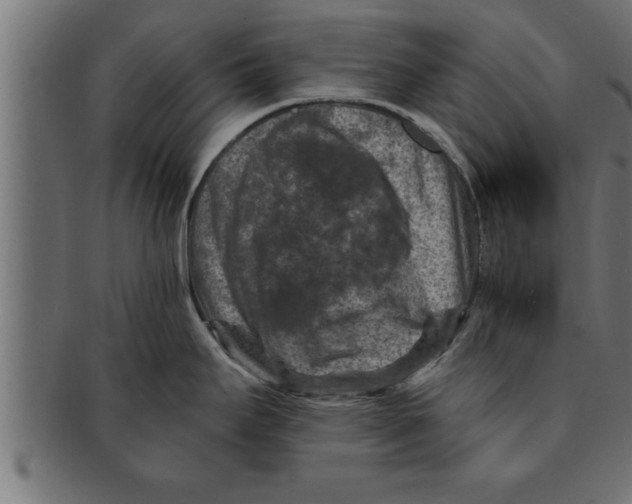 X0000091691295200709201251