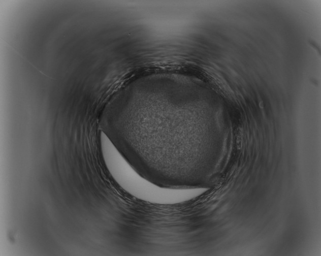 X0000091691298200709201250