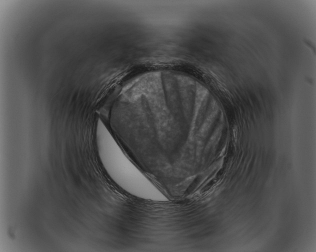 X0000091691300200709201250