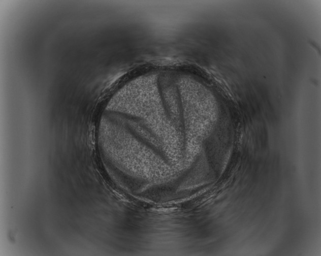 X0000091691301200709201250