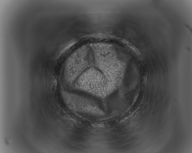 X0000091691302200709201250