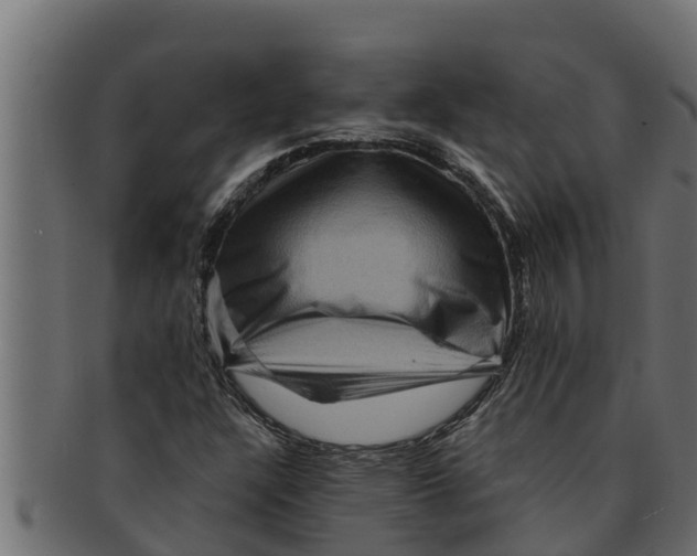 X0000091691304200709201251