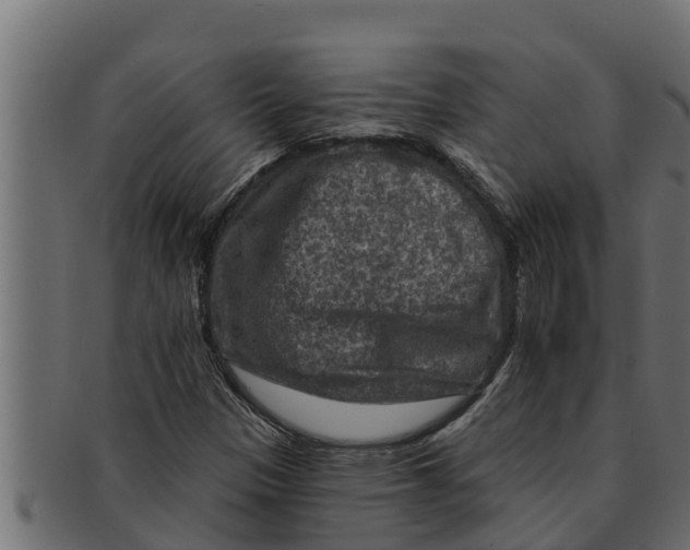 X0000091691305200709201251