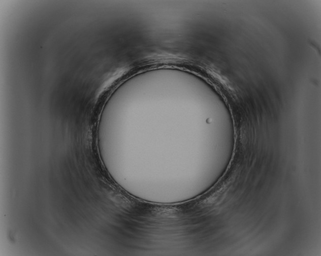 X0000091691309200709201251