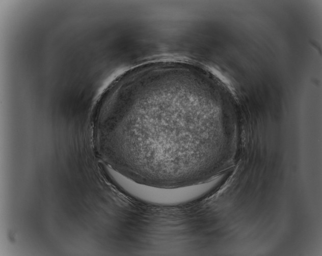 X0000091691310200709201251