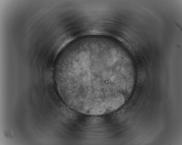 X0000091691314200709201251