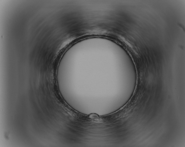 X0000091691315200709201251