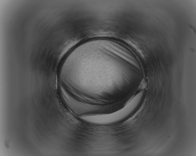 X0000091691317200709201251