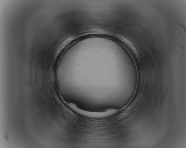 X0000091691318200709201251