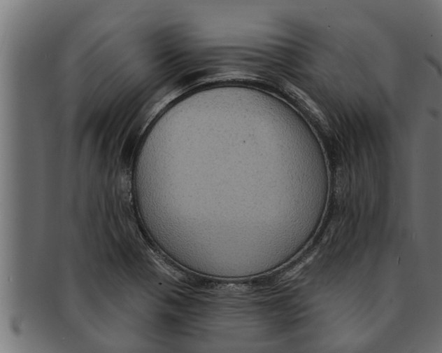 X0000091691321200709201251