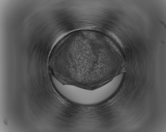 X0000091691324200709201251