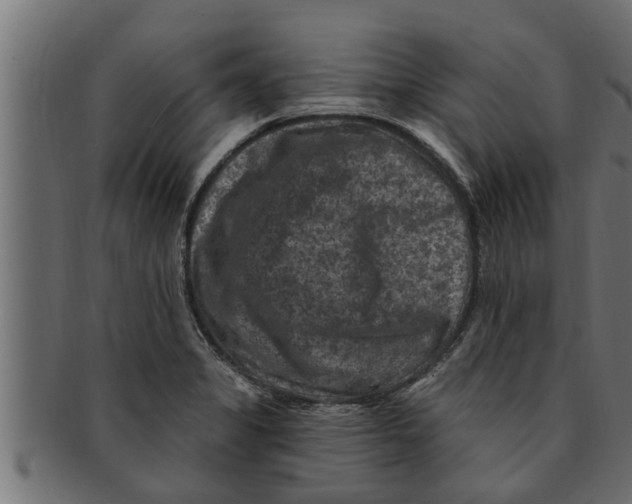 X0000091691325200709201251