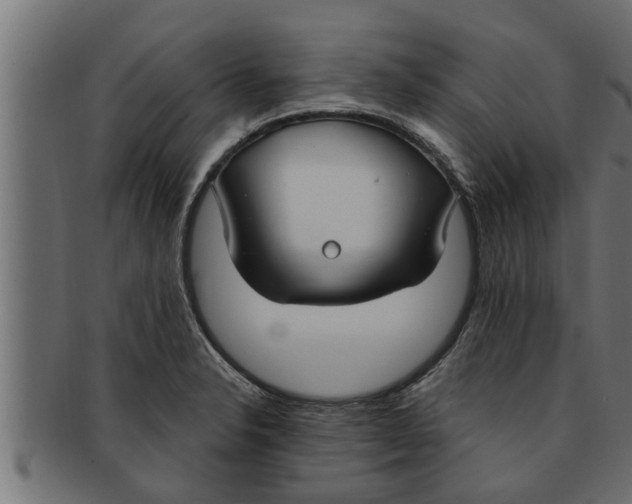 X0000091691326200709201251