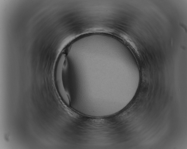 X0000091691328200709201251