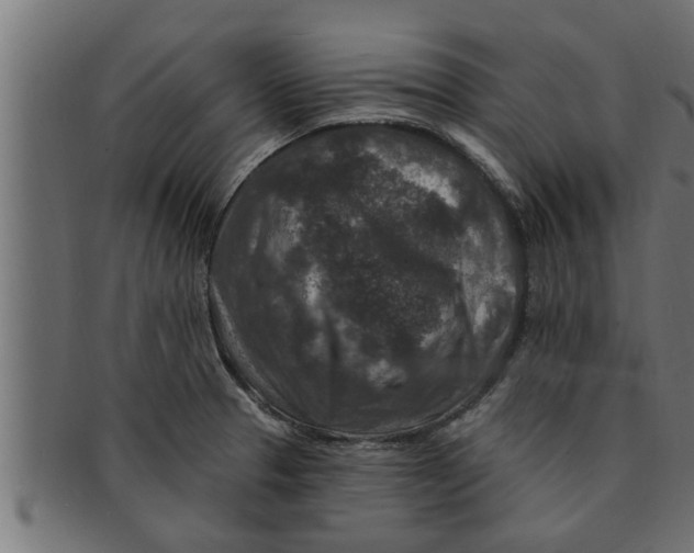 X0000091691329200709201251