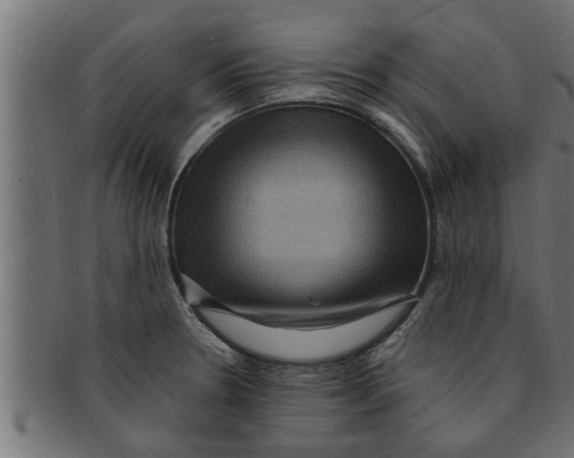 X0000091691330200709201251