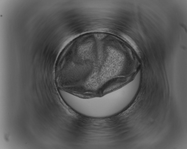 X0000091691332200709201251