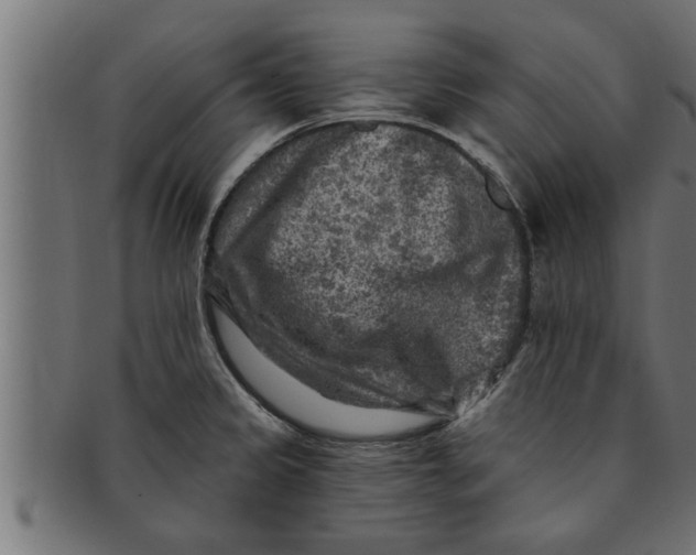 X0000091691333200709201251