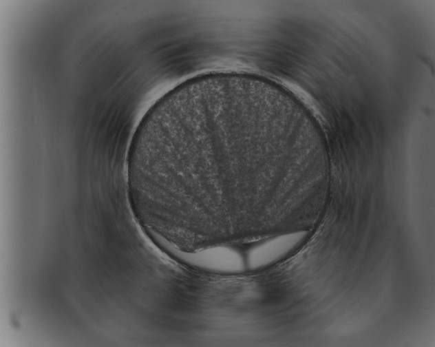 X0000091691335200709201251