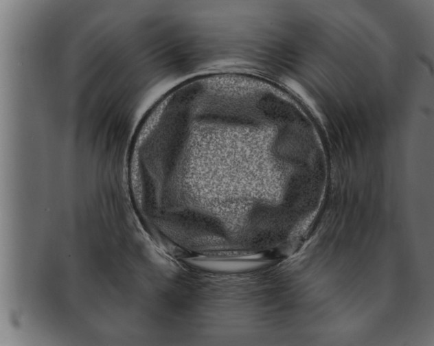 X0000091691336200709201251