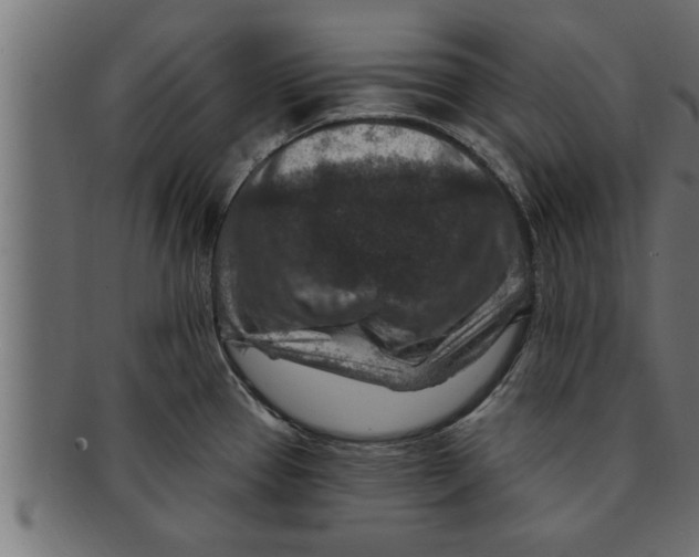 X0000091691337200709201251