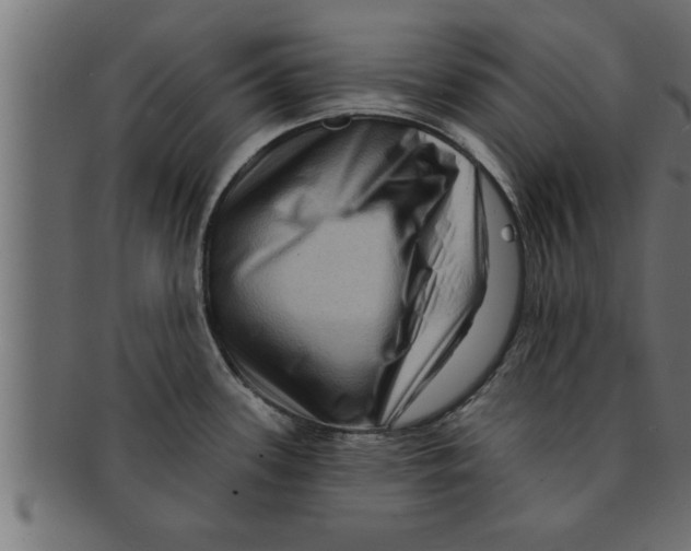 X0000091691339200709201251