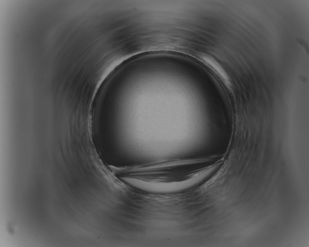 X0000091691340200709201251