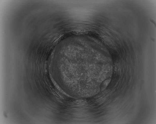 X0000091691346200709201250