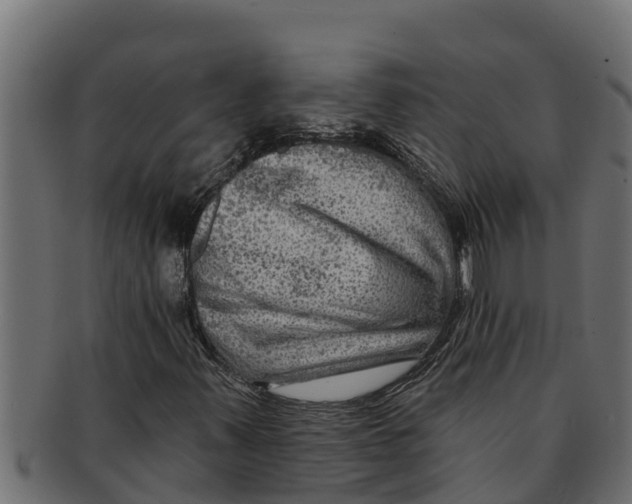 X0000091691347200709201250