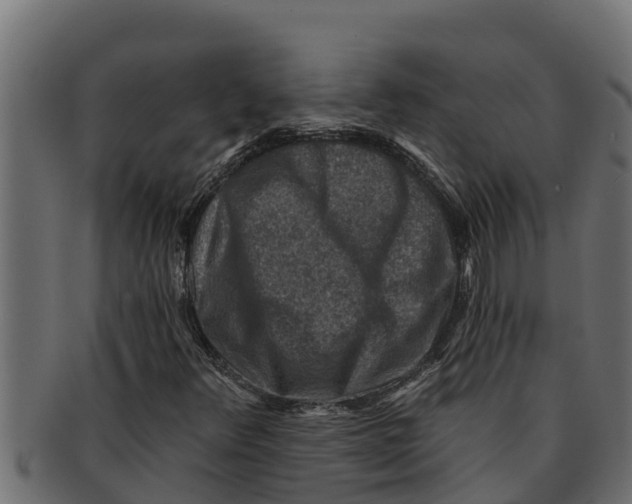 X0000091691348200709201250