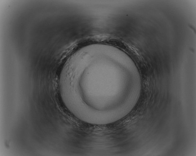 X0000091691349200709201250