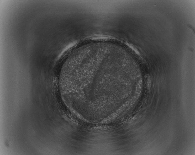 X0000091691351200709201250