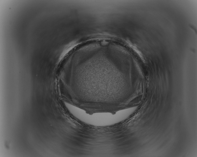 X0000091691352200709201250