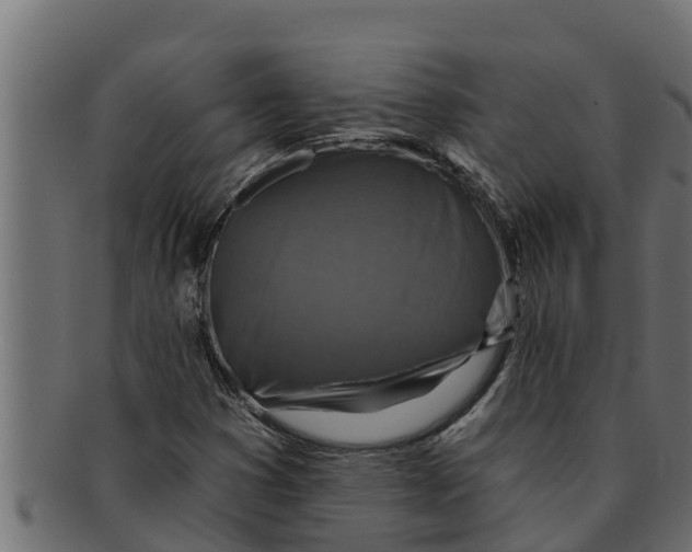 X0000091691353200709201250