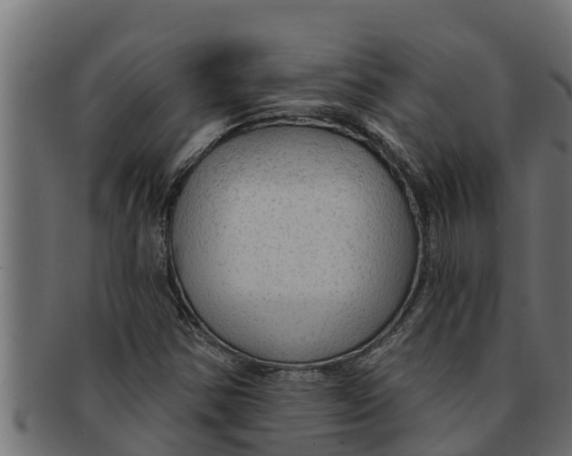 X0000091691354200709201250