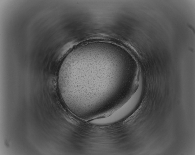 X0000091691355200709201250