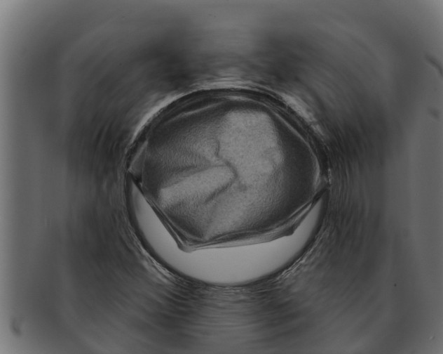 X0000091691356200709201250