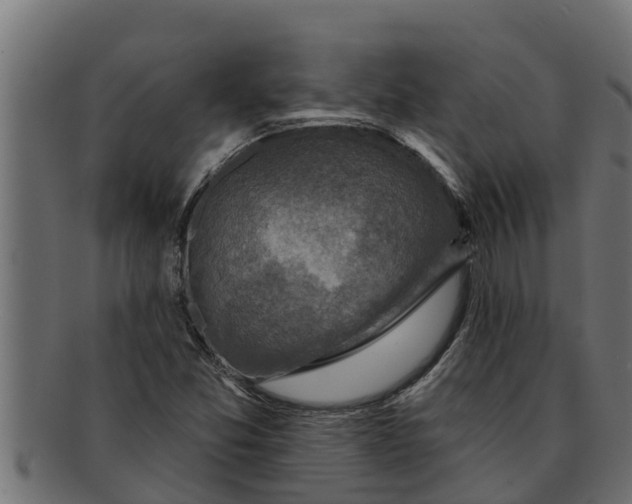 X0000091691357200709201250