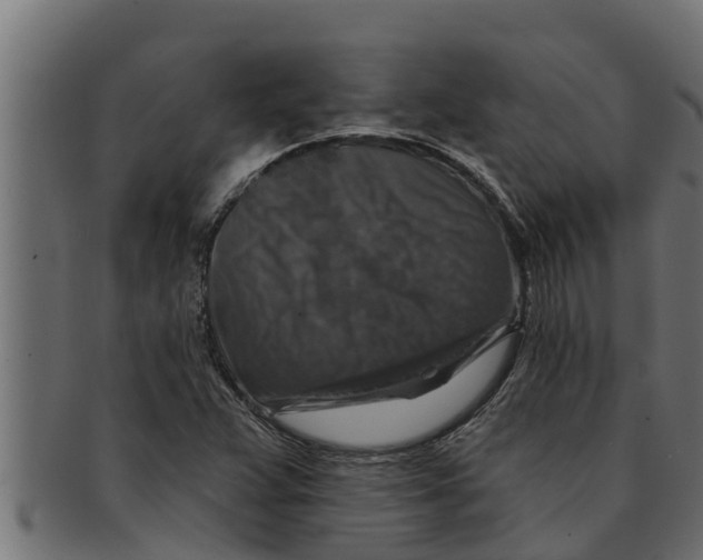 X0000091691359200709201250